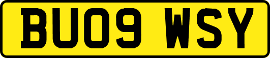 BU09WSY
