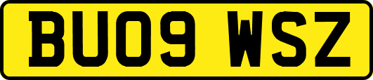BU09WSZ