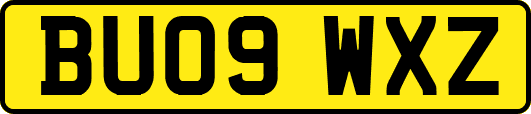 BU09WXZ
