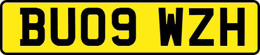 BU09WZH