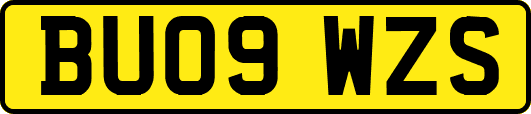 BU09WZS