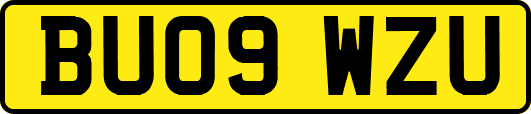 BU09WZU