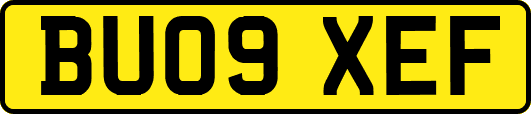 BU09XEF