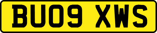 BU09XWS