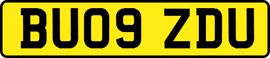 BU09ZDU