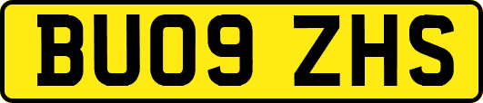 BU09ZHS