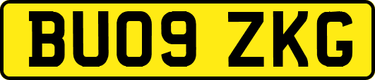 BU09ZKG