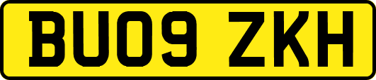 BU09ZKH
