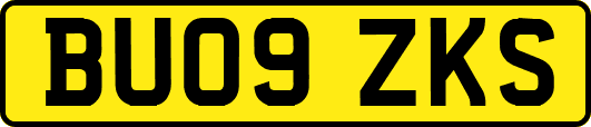 BU09ZKS