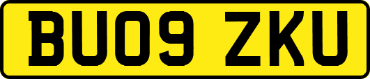 BU09ZKU