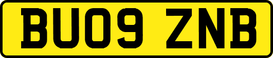 BU09ZNB