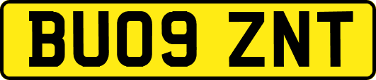 BU09ZNT
