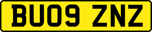 BU09ZNZ
