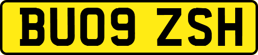 BU09ZSH
