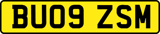 BU09ZSM