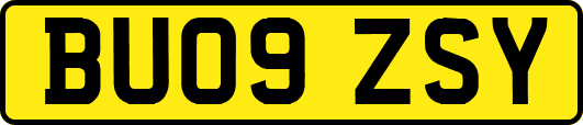 BU09ZSY