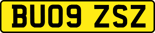 BU09ZSZ