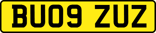 BU09ZUZ