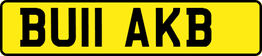 BU11AKB