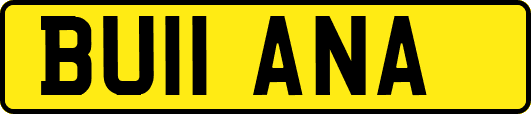 BU11ANA