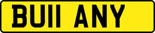 BU11ANY