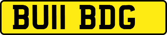 BU11BDG