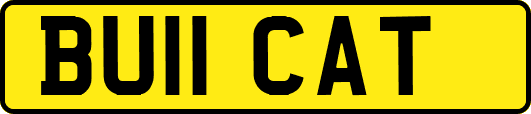 BU11CAT