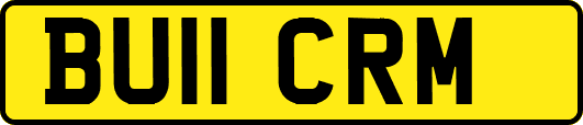 BU11CRM
