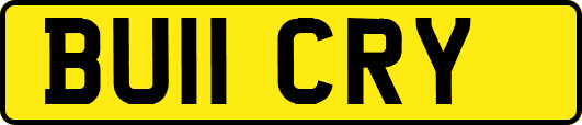 BU11CRY