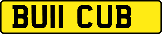 BU11CUB