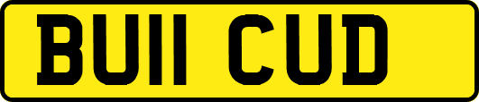 BU11CUD