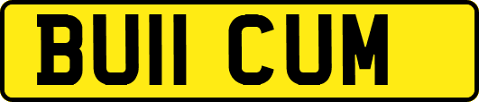 BU11CUM