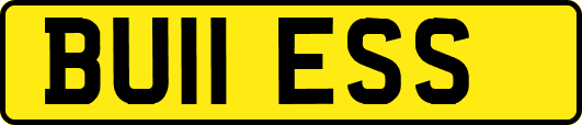 BU11ESS