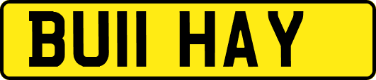 BU11HAY