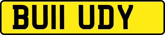 BU11UDY