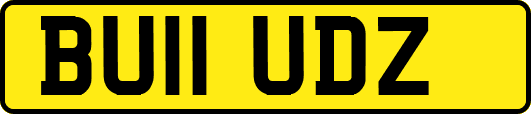 BU11UDZ