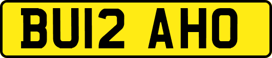 BU12AHO