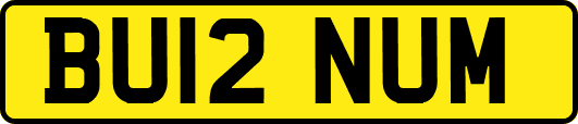BU12NUM