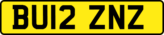 BU12ZNZ