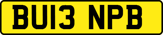 BU13NPB