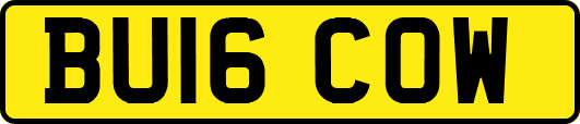 BU16COW