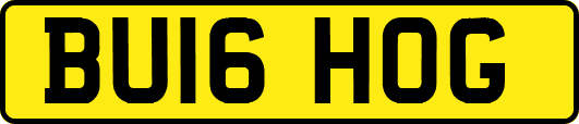 BU16HOG