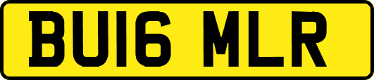 BU16MLR