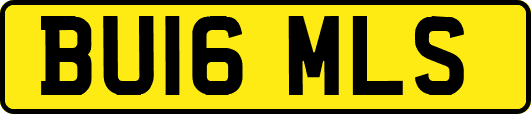 BU16MLS