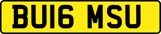 BU16MSU