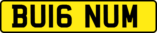 BU16NUM