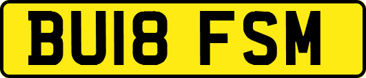 BU18FSM