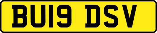 BU19DSV
