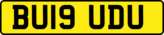 BU19UDU