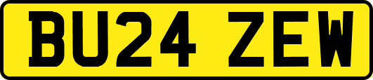 BU24ZEW
